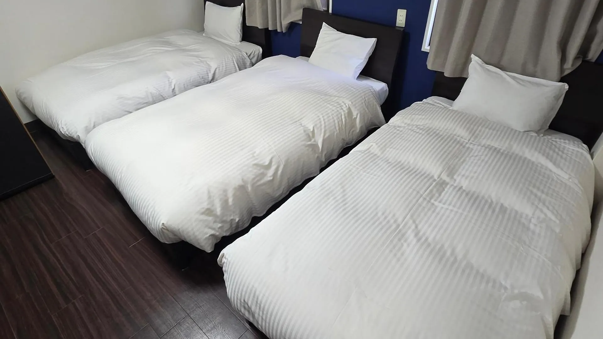 Ace Inn Asakusa Tokyo 0*,