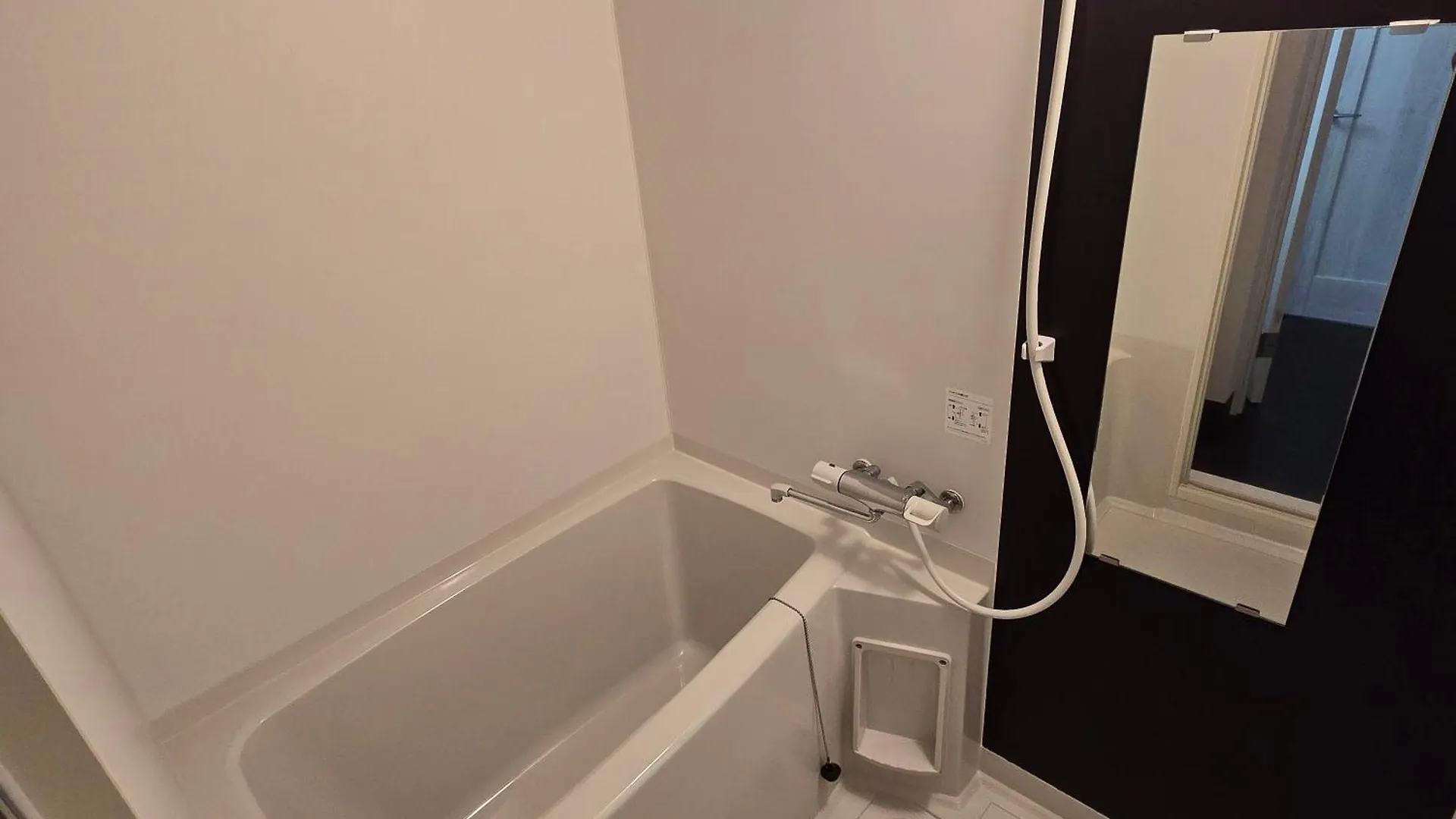 Hotel Ace Inn Asakusa Tokyo