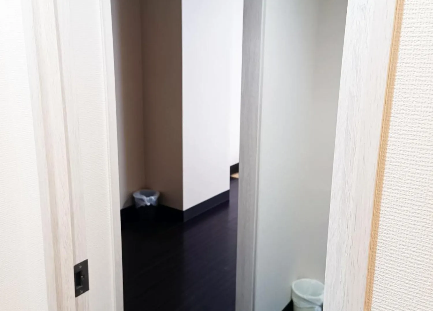 Hotel Ace Inn Asakusa Tokyo
