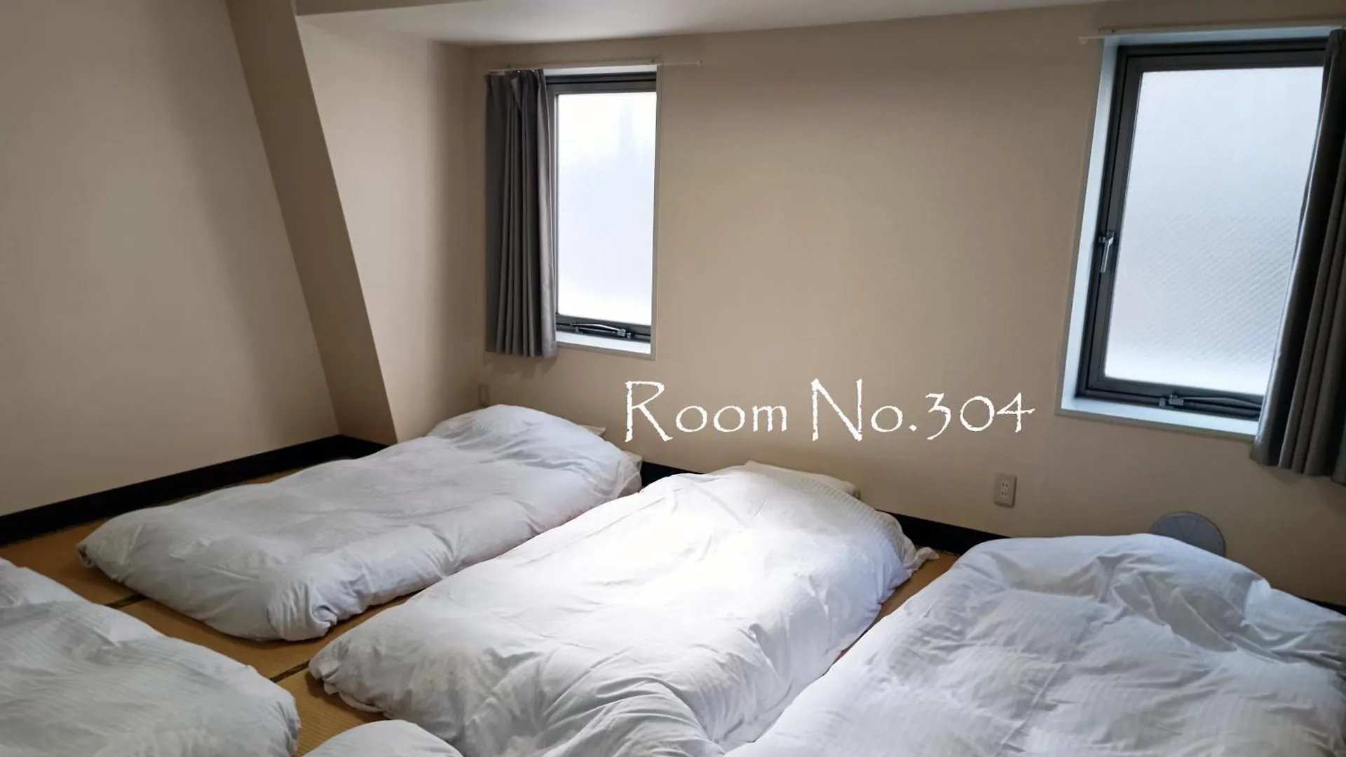 Hotel Ace Inn Asakusa Tokyo