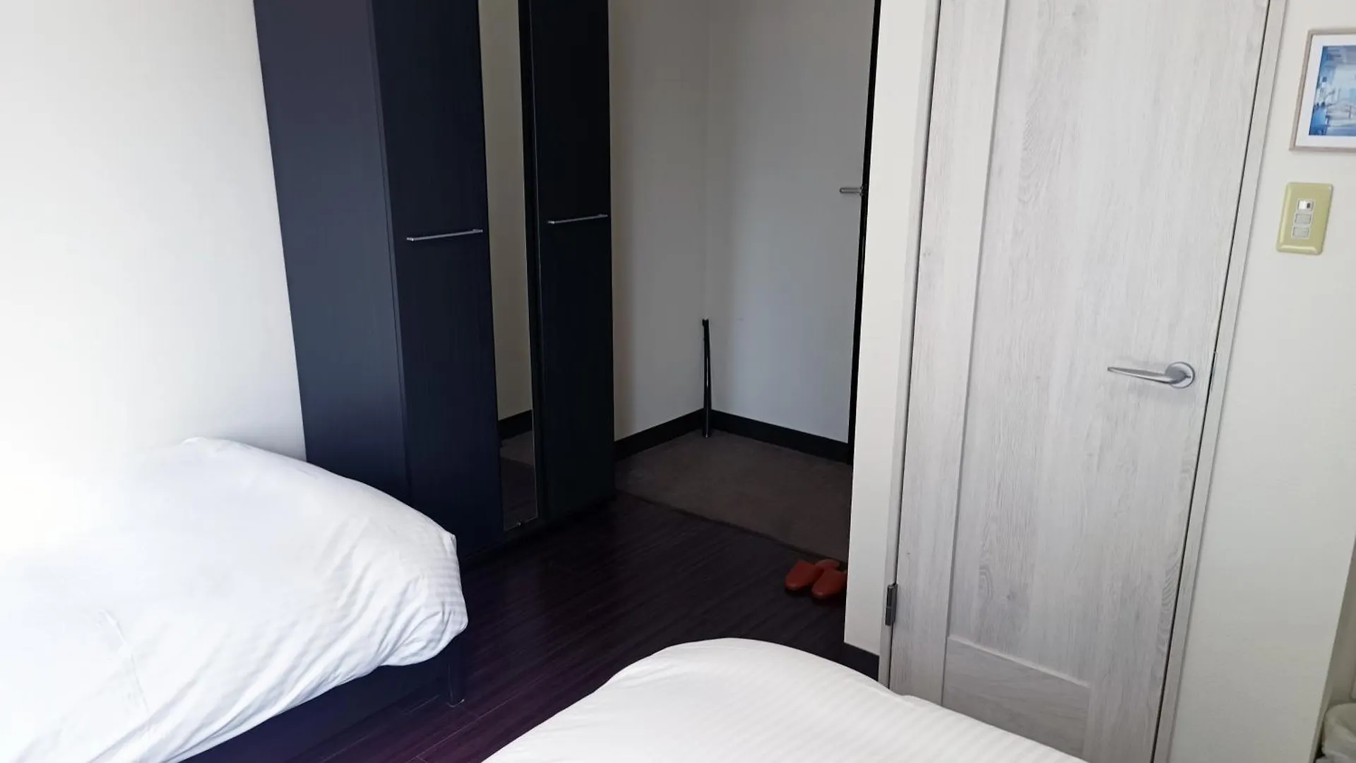 Ace Inn Asakusa Tokyo Hotel